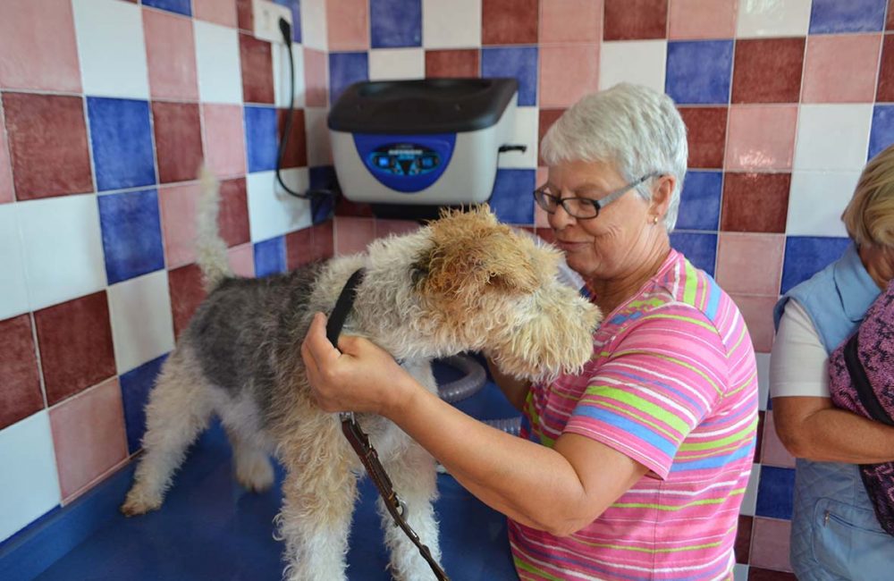 OTRAS INSTALACIONES CENTRO DE LIMPIEZA CANINO