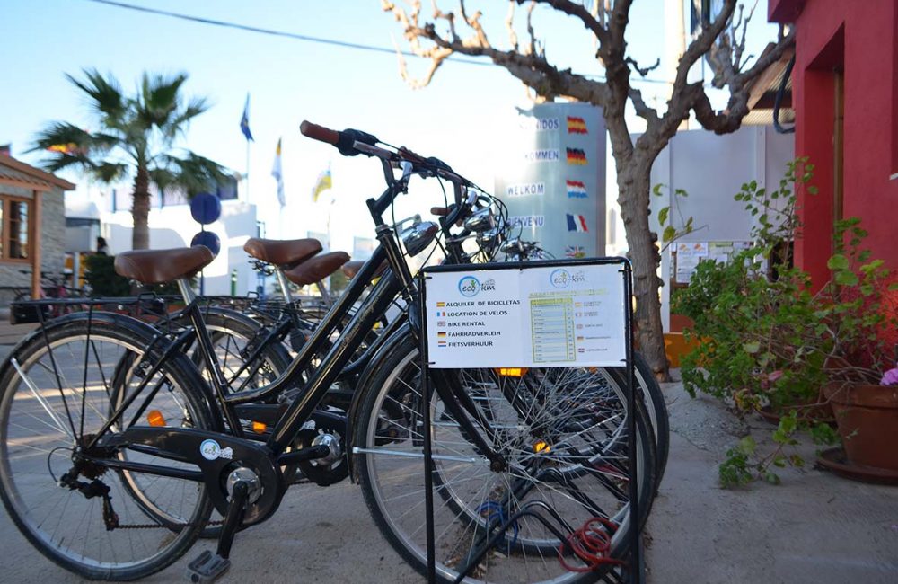 OTRAS INSTALACIONES Y SERVICIOS ALQUILER DE BICICLETAS