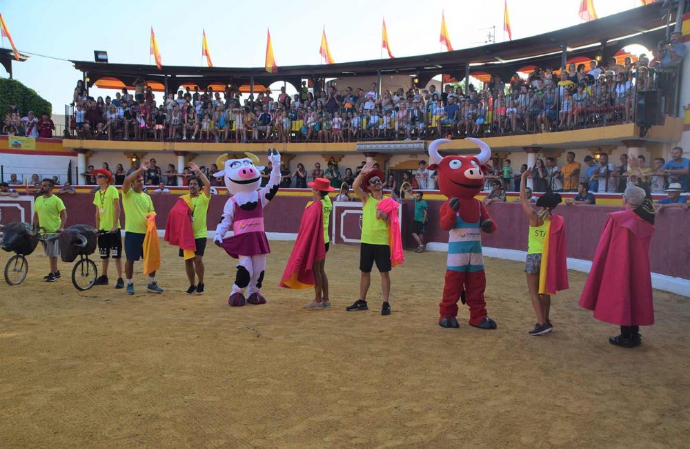 PLAZA DE TOROS ANIMACION